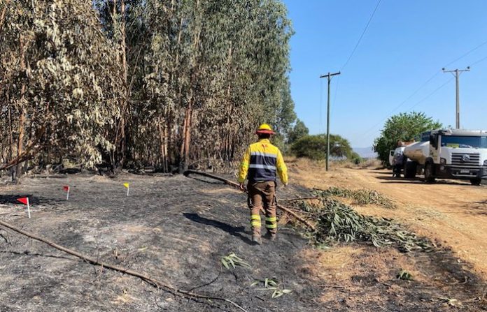 Más de 20 incendios forestales se mantienen activos en el sur de Chile