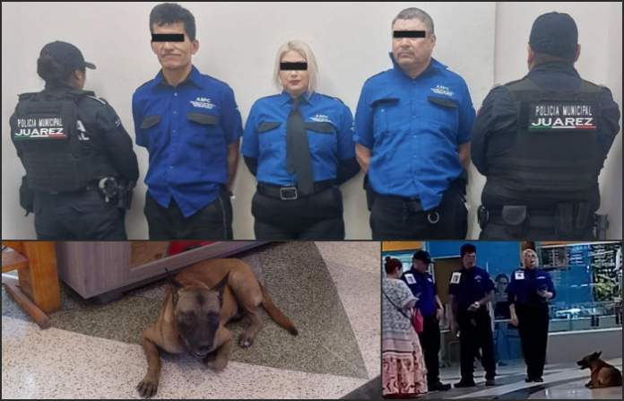 Detenidos guardias de seguridad por maltrato animal en Plaza Sendero de San Roque, en Juárez