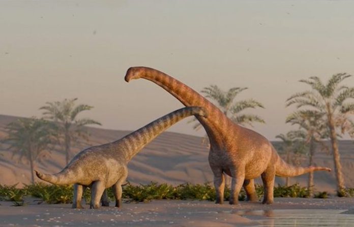 Científicos descubren nueva especie de titanosaurio en sur de Argentina