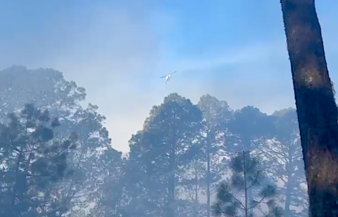 Contienen con rapidez incendio forestal en la Sierra de Santiago gracias a protocolo de reacción inmediata