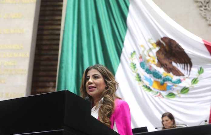 Piden implementar medidas que garanticen un transporte seguro para los miembros de las instituciones policiales