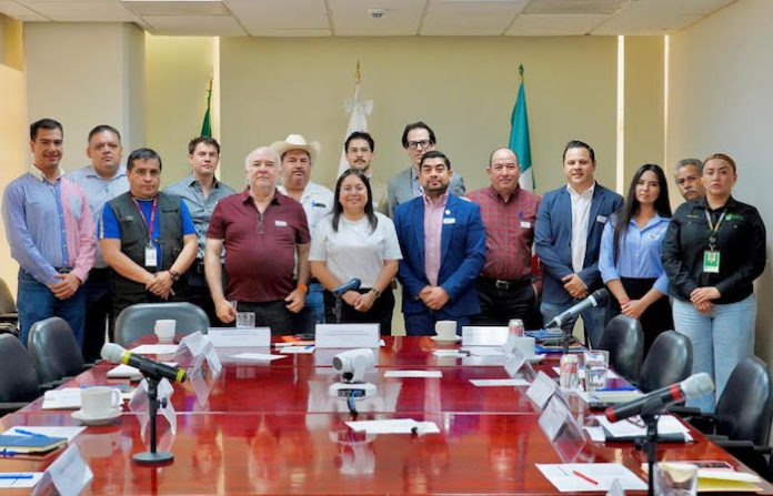 La Huasteca: entre avances institucionales y ausencias preocupantes