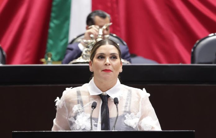 Infraestructura eléctrica de NL en el abandono: Diputada Ana González exige acción federal