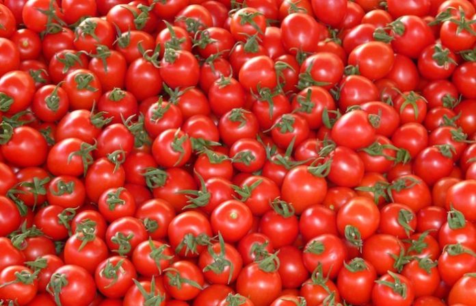 México conversa con EU sobre nuevo arancel de más de 20% a exportaciones de tomate