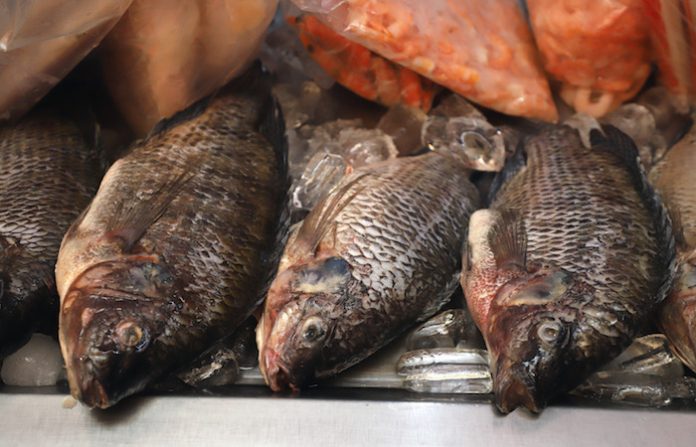 Cuaresma segura: Salud intensifica vigilancia en venta de mariscos