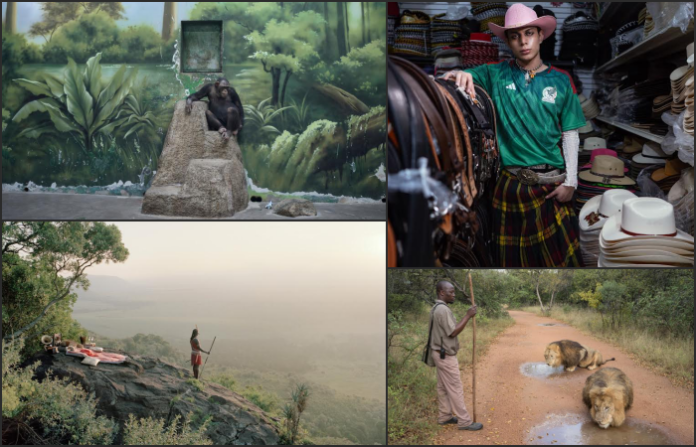 Londres celebra el poder de la imagen: Zed Nelson encabeza los Sony World Photography Awards 2025