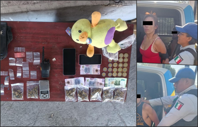 Romance de peluche termina tras hallazgo poco tierno