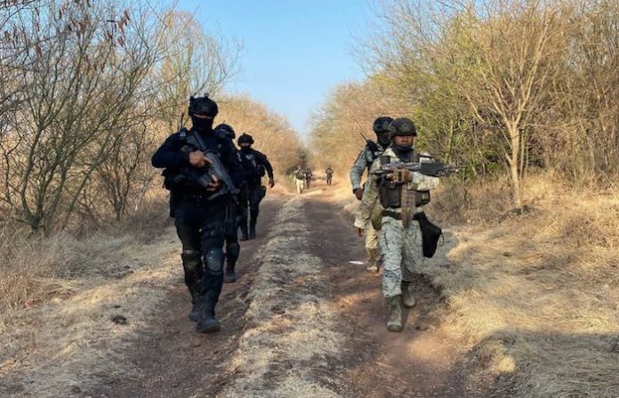 Autoridades mexicanas abaten a seis presuntos delincuentes en enfrentamientos en Michoacán