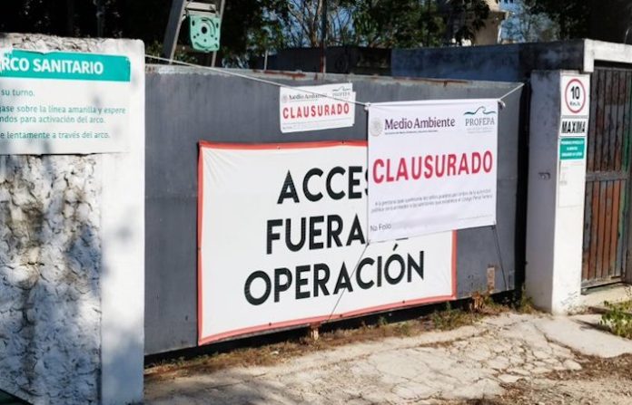 Clausuran una mega granja de cerdos en Yucatán