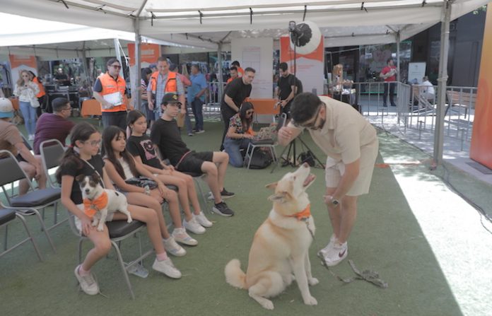 Comunidad se une en evento por el bienestar animal en Pueblo Serena