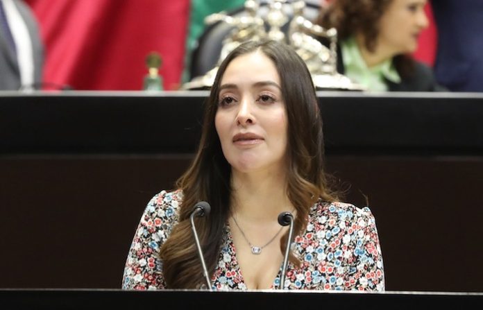 Proponen deducción de impuestos por servicios veterinarios