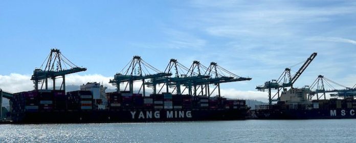 “Es motivo de alarma”: Ausencia de barcos chinos preocupa en puertos de EU