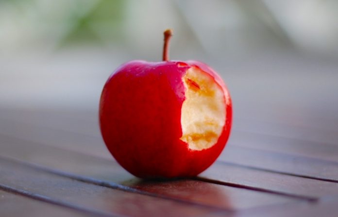 9% de aumento y más vacaciones: Sheinbaum reconoce labor docente en su día