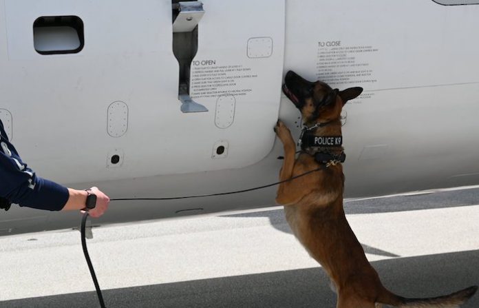 La DEA advierte de tácticas de cárteles mexicanos para enviar drogas a EU