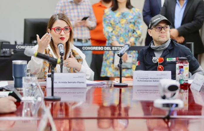 Diputada Armida Serrato advierte posible responsabilidad legal de Reforestación Extrema por uso irregular de recursos públicos