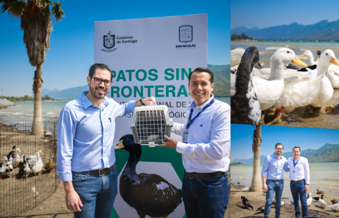 Unen esfuerzos Santiago y San Nicolás para proteger la vida silvestre en Nuevo León