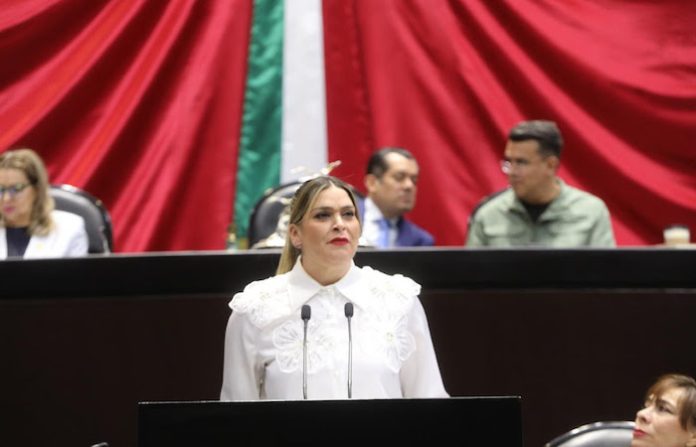 Diputada exige reforzar seguridad en plazas comerciales de NL tras ola de violencia