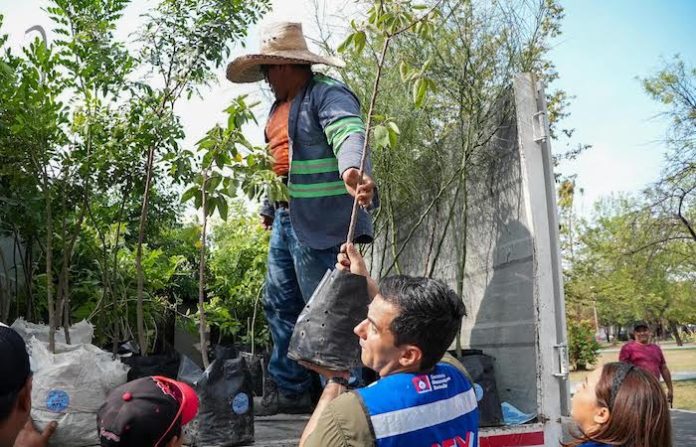 Avanza con éxito proyecto “Adopta un Árbol Mty”