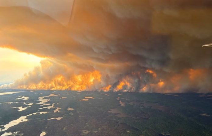 Segunda provincia del sur de Canadá declara emergencia por incendios forestales
