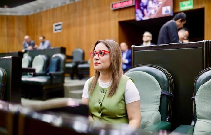 Propone legisladora ley para regular imagen institucional del gobierno