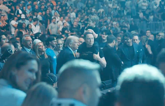 ¿Cuántos estadounidenses creen que Trump habría ganado sin Musk?