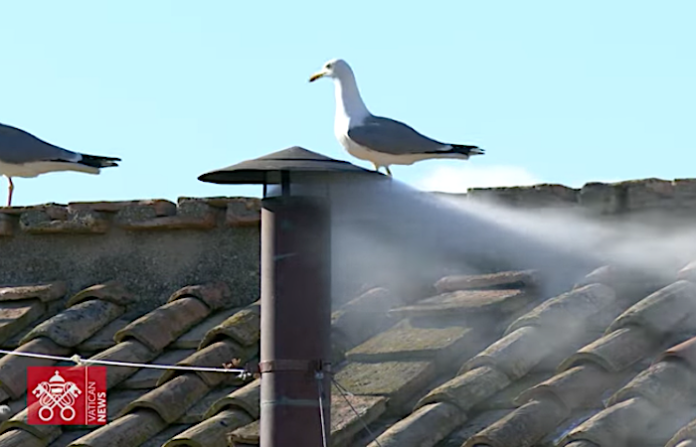 Video:Fumata blanca sobre la Capilla Sixtina revela que ha sido elegido un nuevo Papa