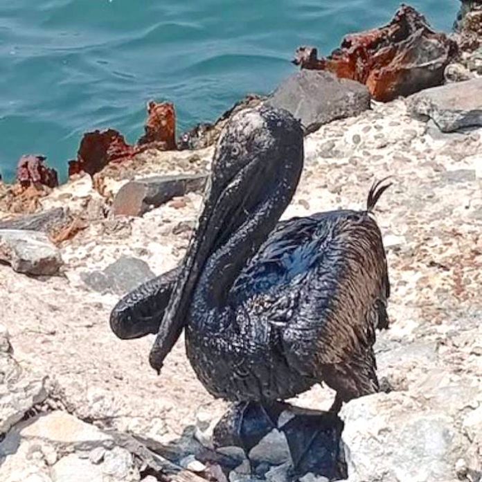 México repara fuga de petróleo en puerto Dos Bocas en costas del sureste