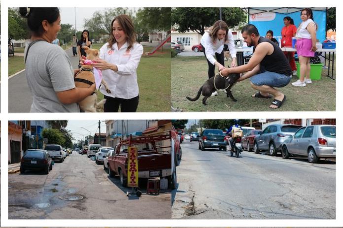 Con servicios para mascotas y rehabilitación vial, Guadalupe refuerza bienestar ciudadano