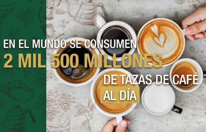 Café y cafeína: aliados con medida para la salud diaria