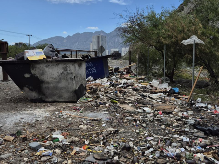 Basura pone en riesgo a osos y ecosistema en La Huasteca: activan operativo de limpieza urgente