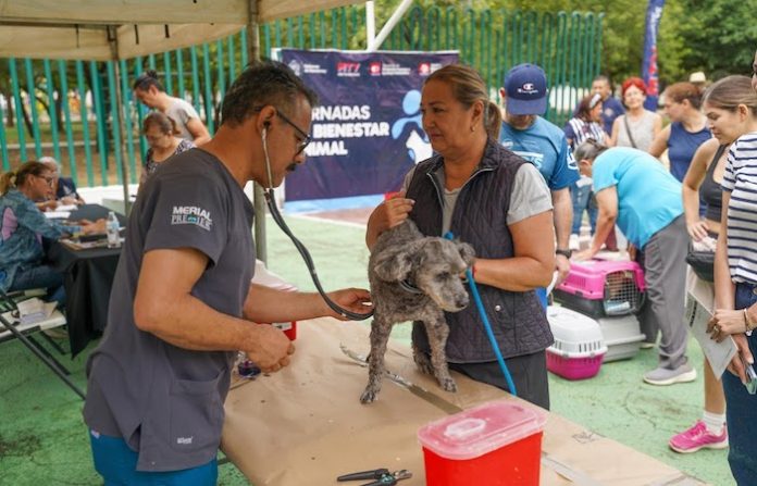 Monterrey impulsa el cuidado animal con feria llena de servicios y actividades