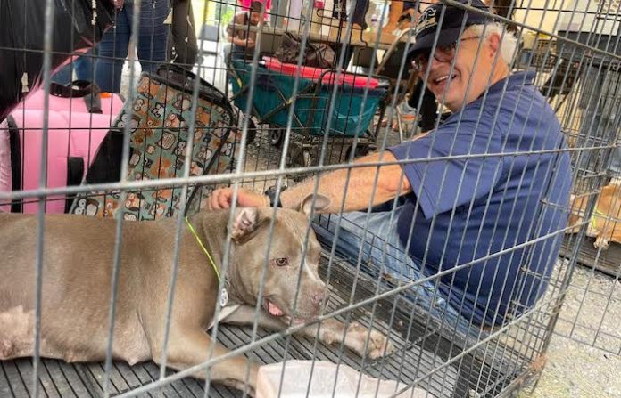 San Nicolás impulsa jornada gratuita de esterilización para mascotas