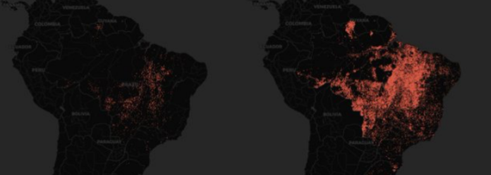 La Amazonía brasileña pierde en 2024 lo equivalente a todo Uruguay por incendios