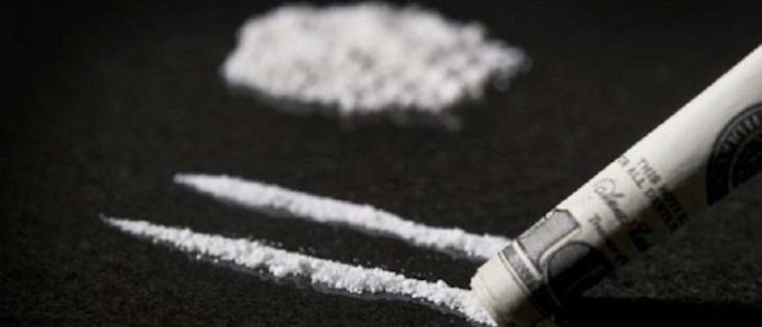 Producción mundial de cocaína bate récord impulsada por cultivos de Colombia, según ONU