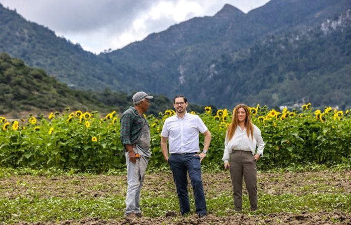 Invita David de la Peña a vivir la temporada de girasoles en la Laguna de Sánchez