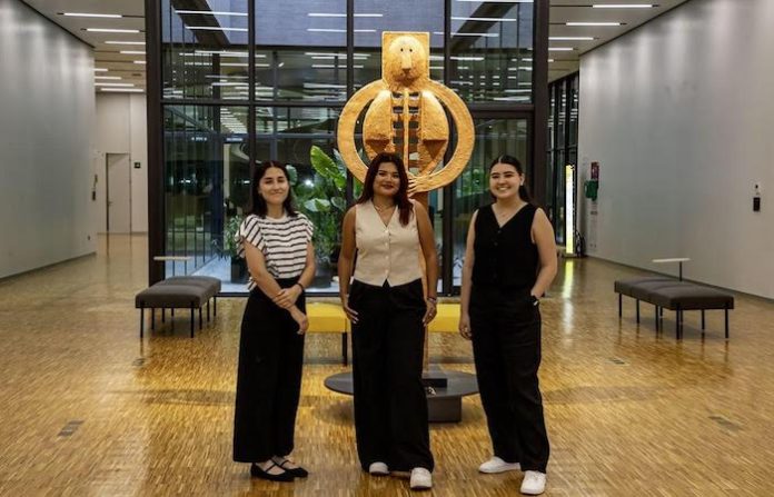 Egresadas de arquitectura rediseñan relación entre industria y comunidad