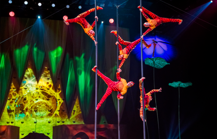 OVO de Cirque du Soleil llega a México con un espectáculo renovado y vibrante