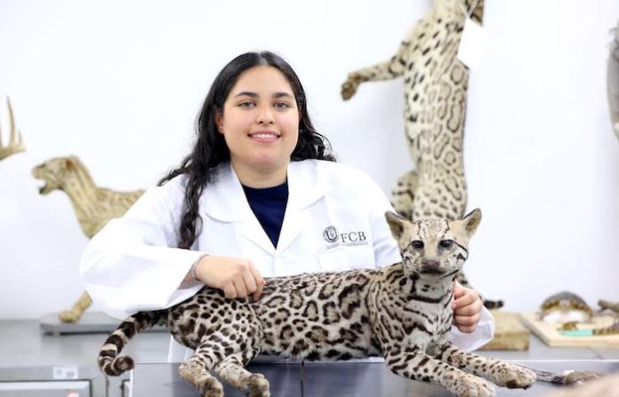 De la UANL a Canadá: estudiante de biología hará historia con prácticas en rescate de fauna