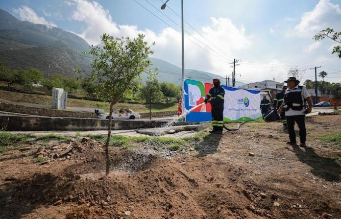 San Pedro impulsa reforestación en La Retama con apoyo ciudadano