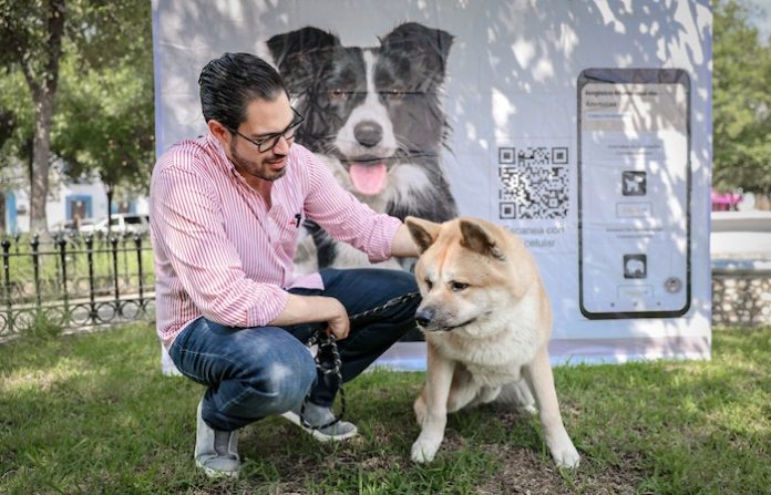 Feria de adopción en Santiago logra hogar para 18 perros