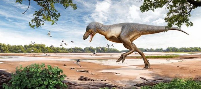 Un museo en EU encuentra fósiles de dinosaurio… en su estacionamiento