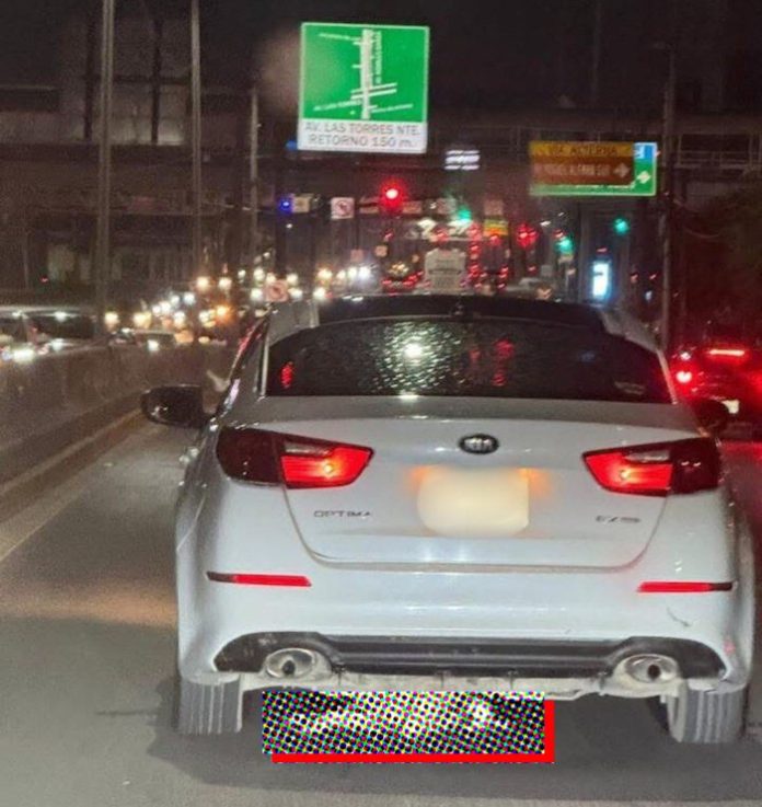 Arrastrada sin piedad, Dallas enciende la lucha por justicia animal en NL