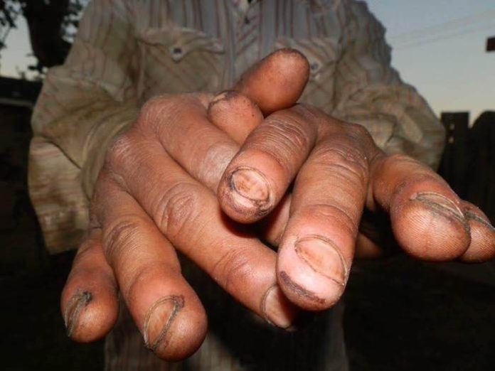 Proponen que adultos mayores migrantes accedan a la Pensión del Bienestar en 2026