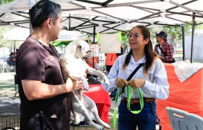 Mascotas al paso: salud y cariño en la “Caminata Perrona” de Guadalupe