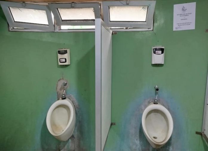Buscan elevar a rango constitucional el derecho a baños dignos en espacios públicos