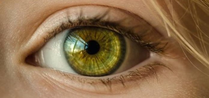 Científicos crean un implante que permite recuperar la visión tras la atrofia de la retina