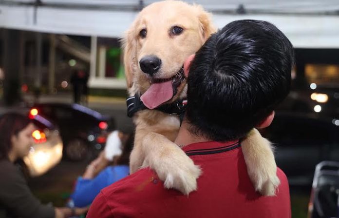 Tu mascota será bienvenida: San Nicolás va por espacios públicos pet friendly