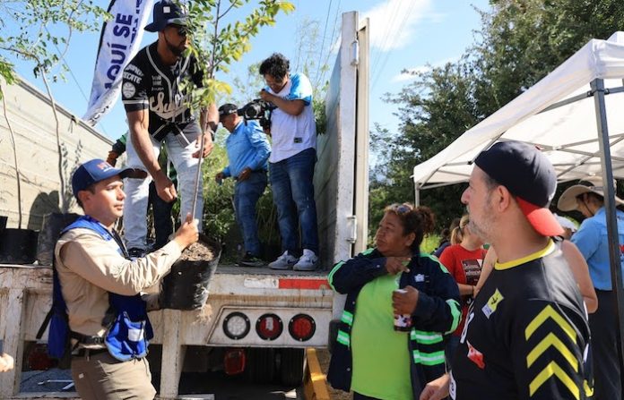 Monterrey impulsa el verde y la educación con árboles nativos y útiles escolares gratuitos