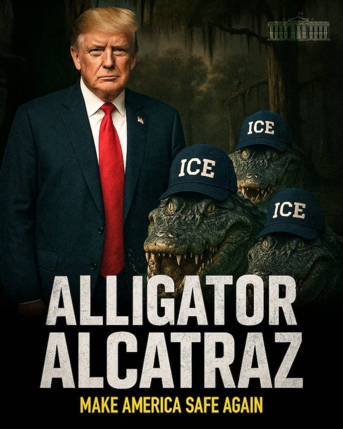 Video: Alligator Alcatraz se inunda a pocas horas de abrir sus puertas