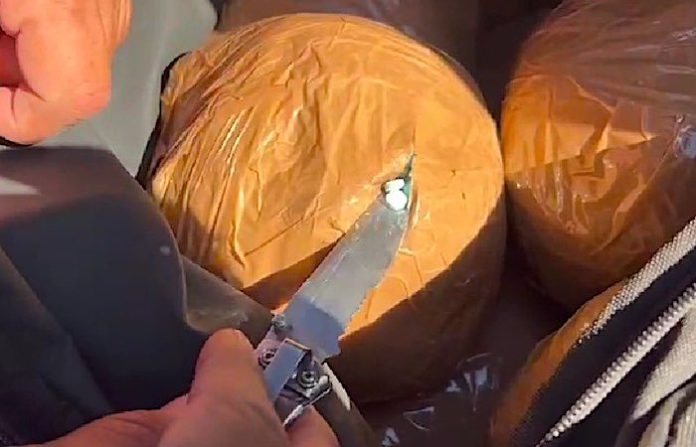 EU afirma que los cárteles mexicanos estarían lavando anualmente 44.000 millones de dólares